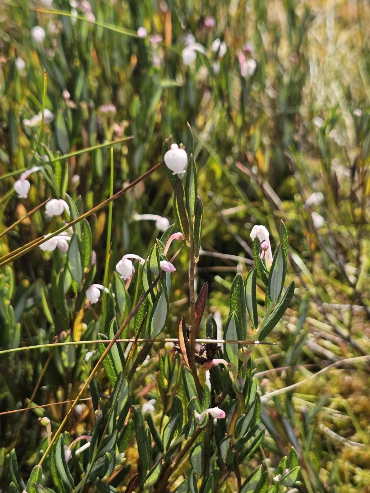 изображение_viber_2025-08-31_09-18-03-408.jpg изображение_viber_2025-08-31_09-18-03-408.jpg