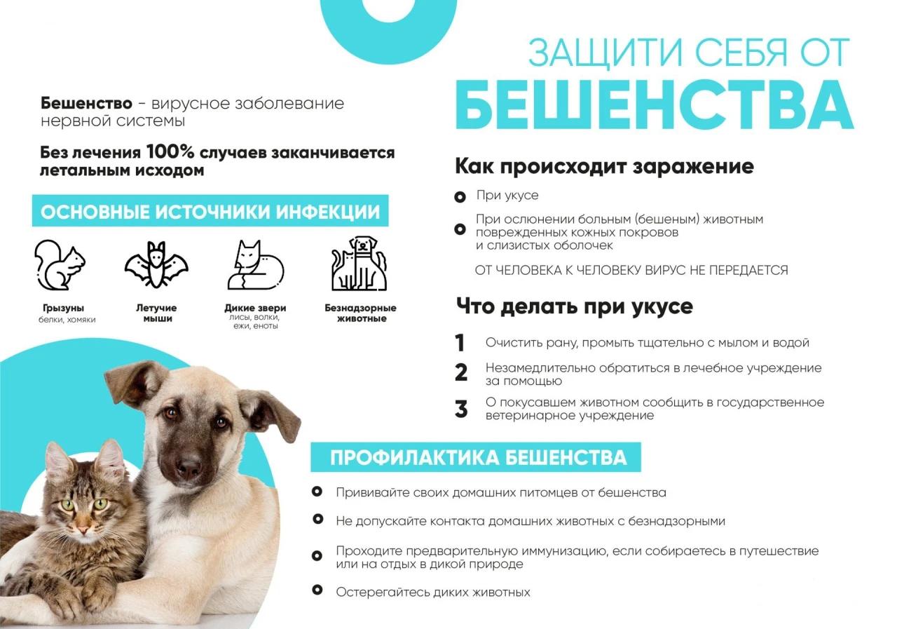 картинка.jpg