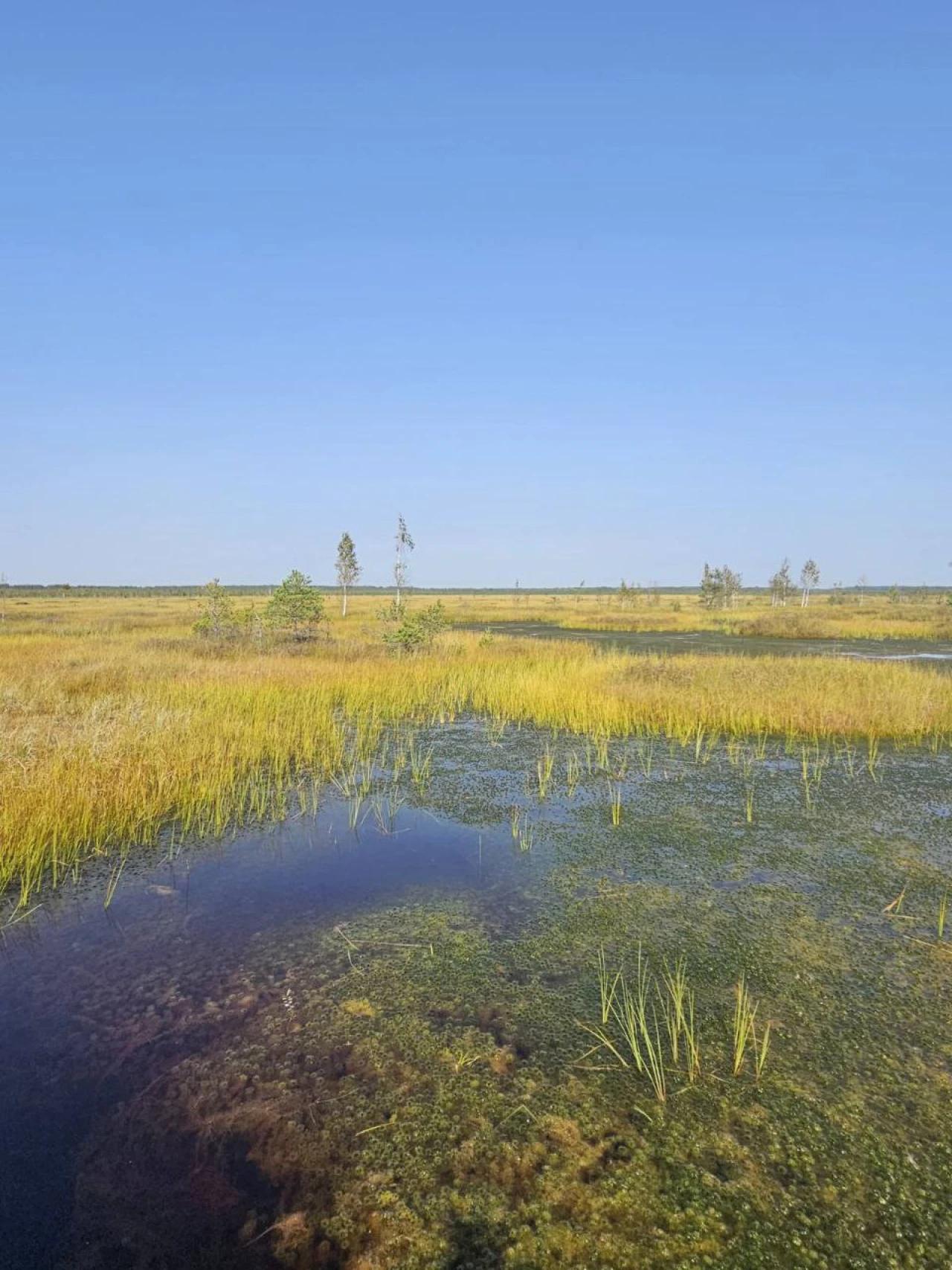 photo_5307877394109036568_y.jpg photo_5307877394109036568_y.jpg