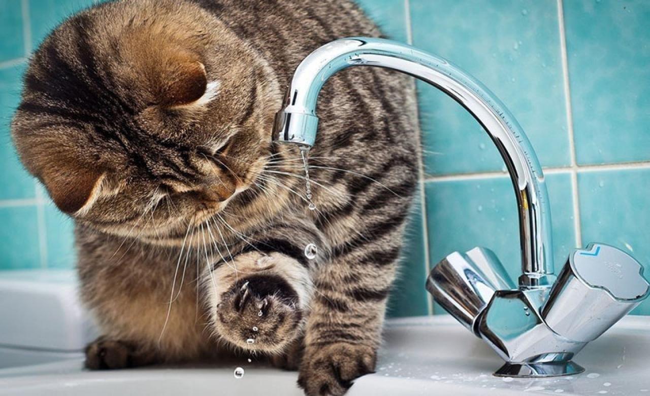 water.jpg
