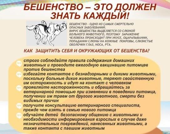 Бешенство(1)3.jpg