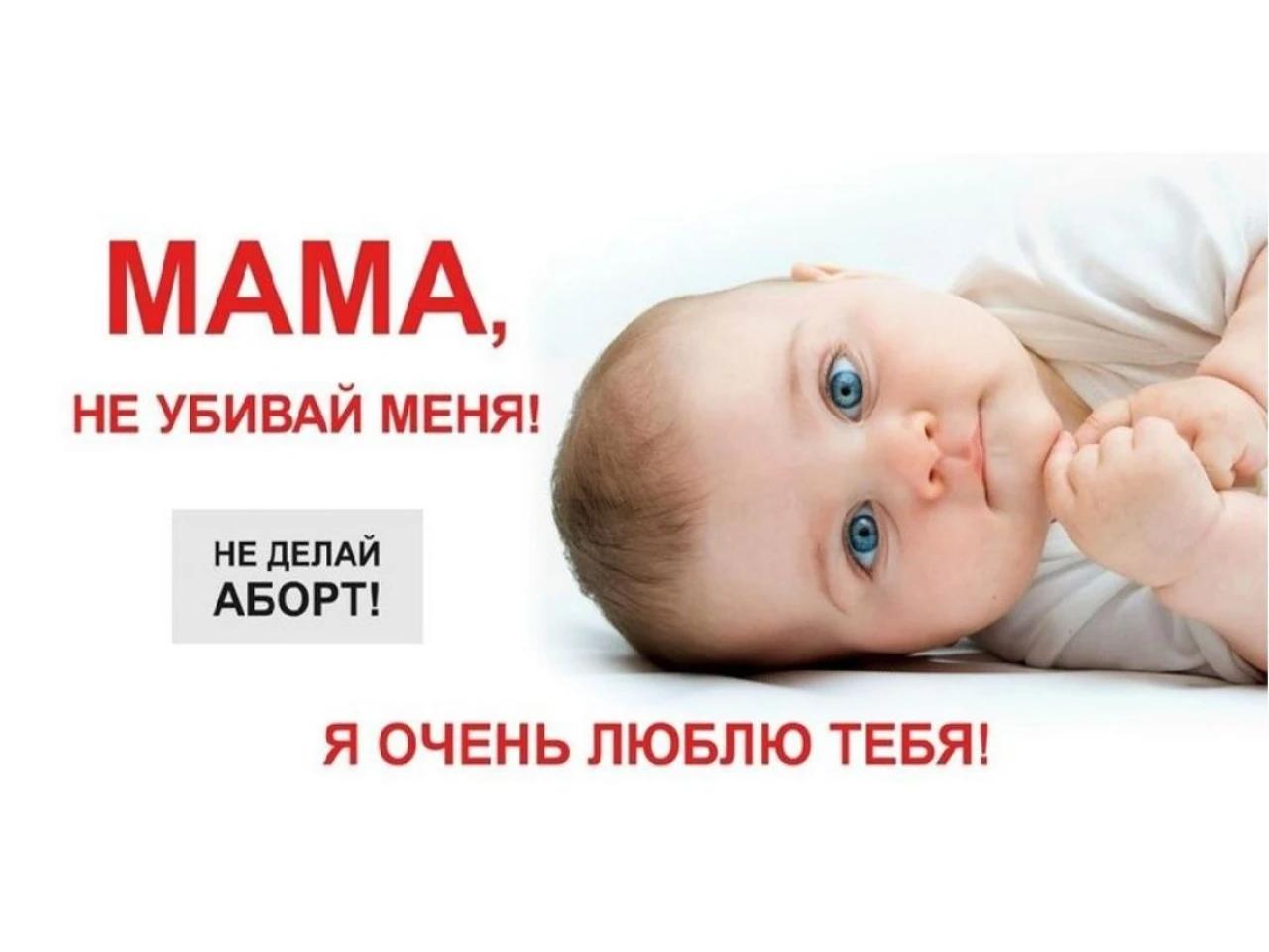 image003.jpg image003.jpg