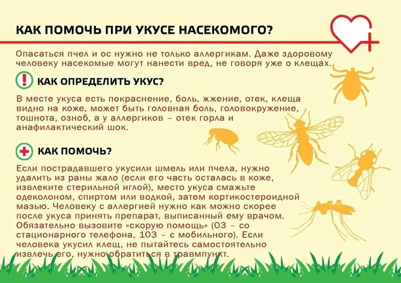 phpKfDAZY_bezopasnoe-leto_html_8390f082c13dcf20.jpg phpKfDAZY_bezopasnoe-leto_html_8390f082c13dcf20.jpg