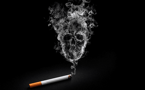 256324565464.png 256324565464.png